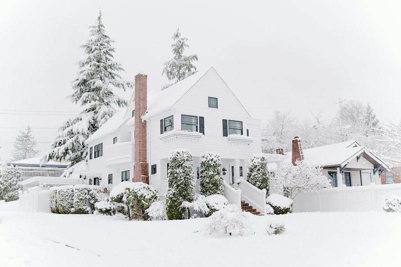 A white two-storey house and its yard covered in fresh snow, with snow-laden spruce trees.